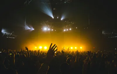 concert photos