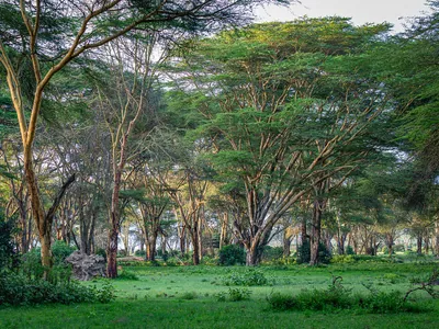 Naivasha, Kenya